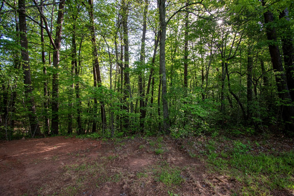 36 36 Mountain Top Road Property Photo 7