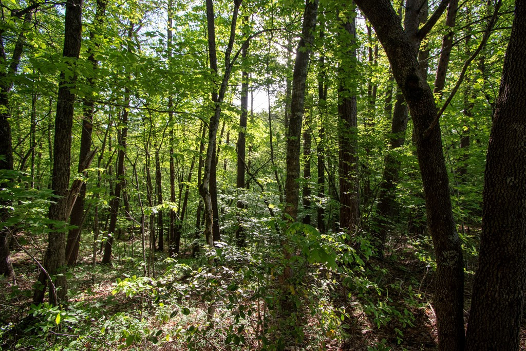 36 36 Mountain Top Road Property Photo 8