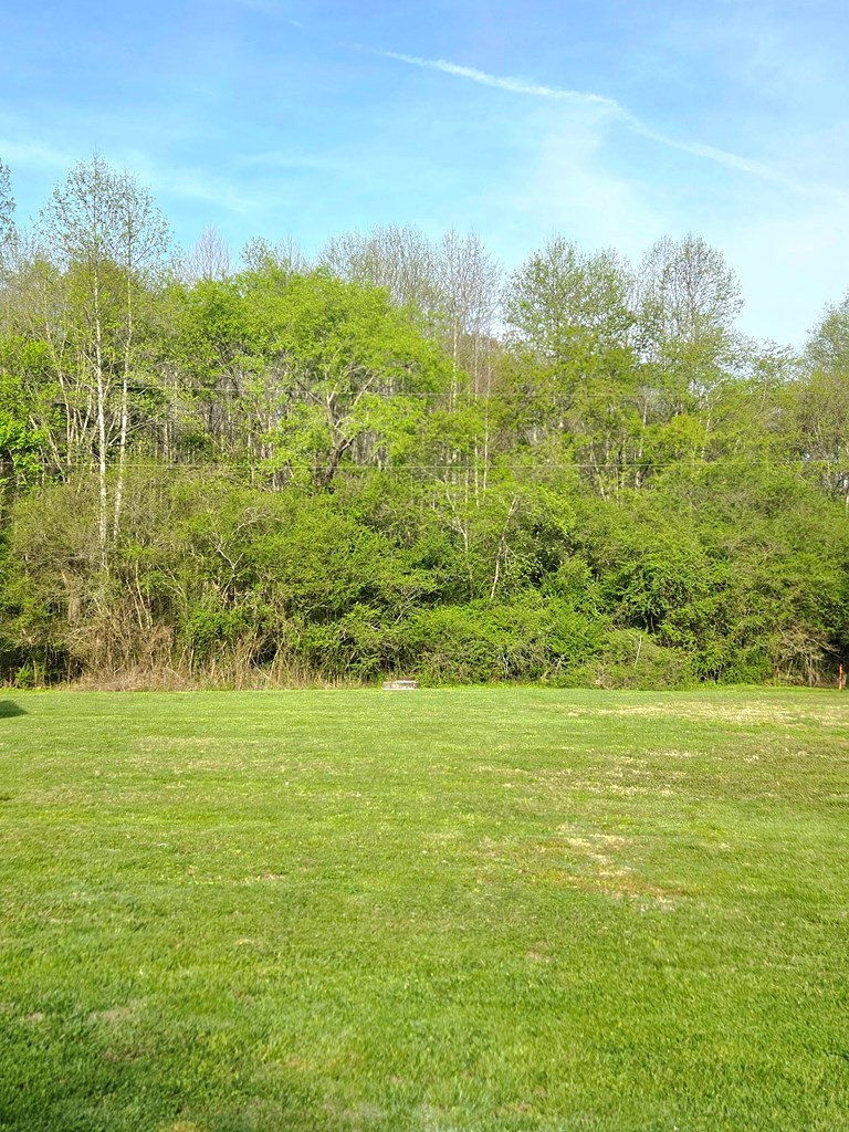 Lot 27 Lazy Bear Trail Property Photo 7