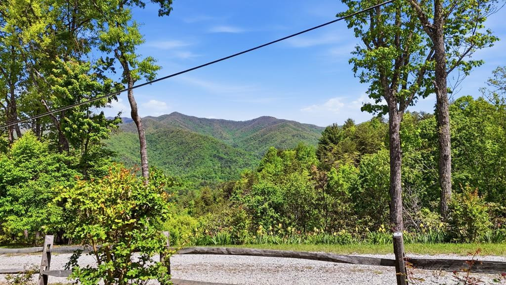 231 Ridge View Drive Property Photo 18