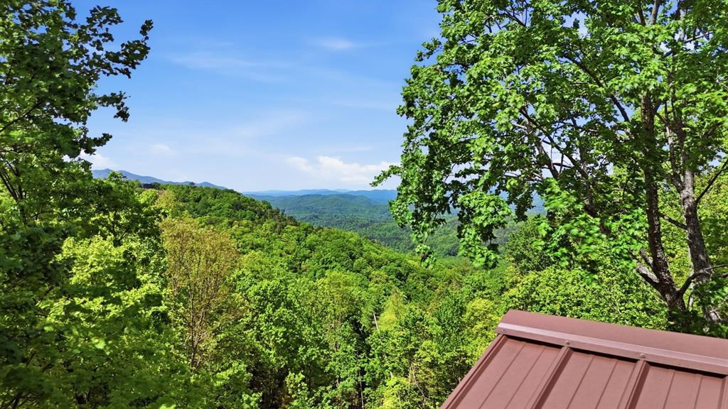 231 Ridge View Drive Property Photo 55