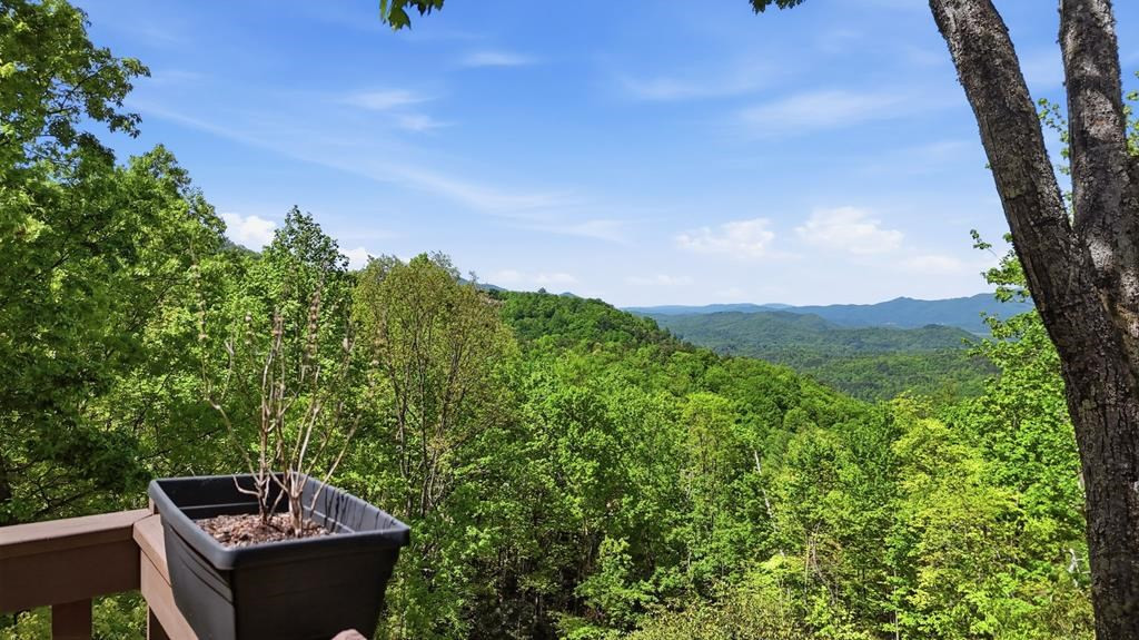 231 Ridge View Drive Property Photo 56