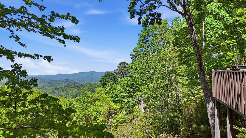 231 Ridge View Drive Property Photo 58