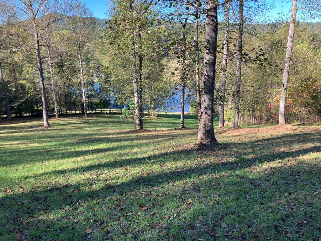 121 White Oak Drive Property Photo 3