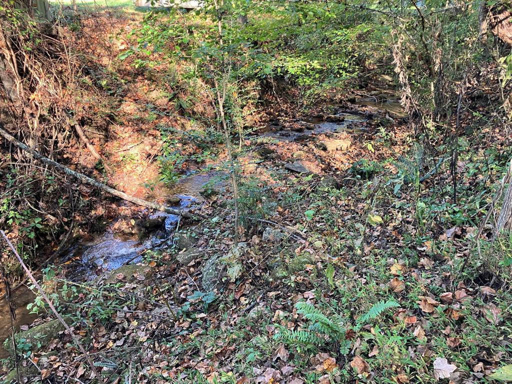 121 White Oak Drive Property Photo 41