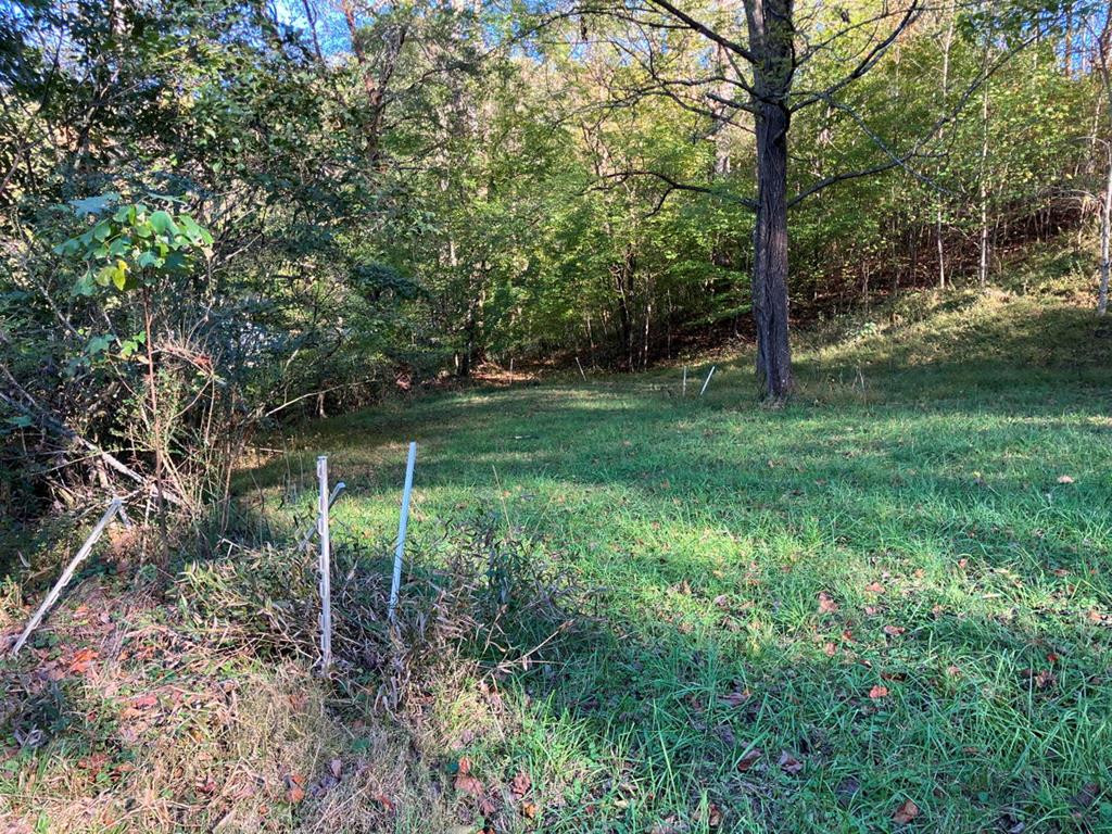 121 White Oak Drive Property Photo 46