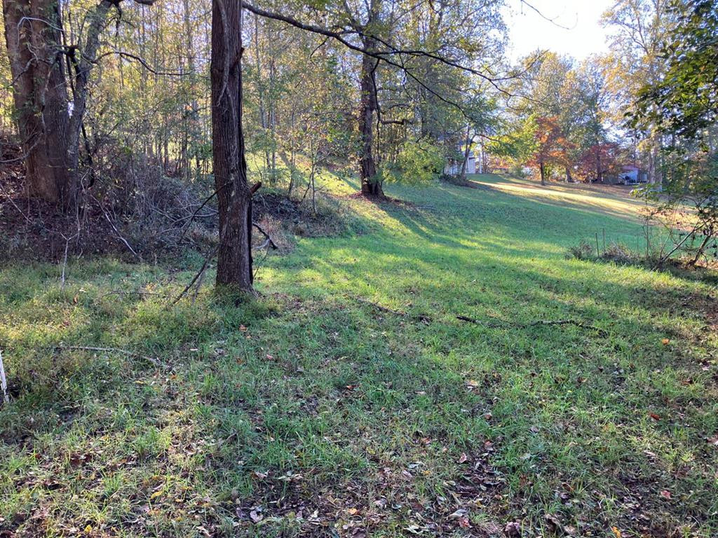 121 White Oak Drive Property Photo 47