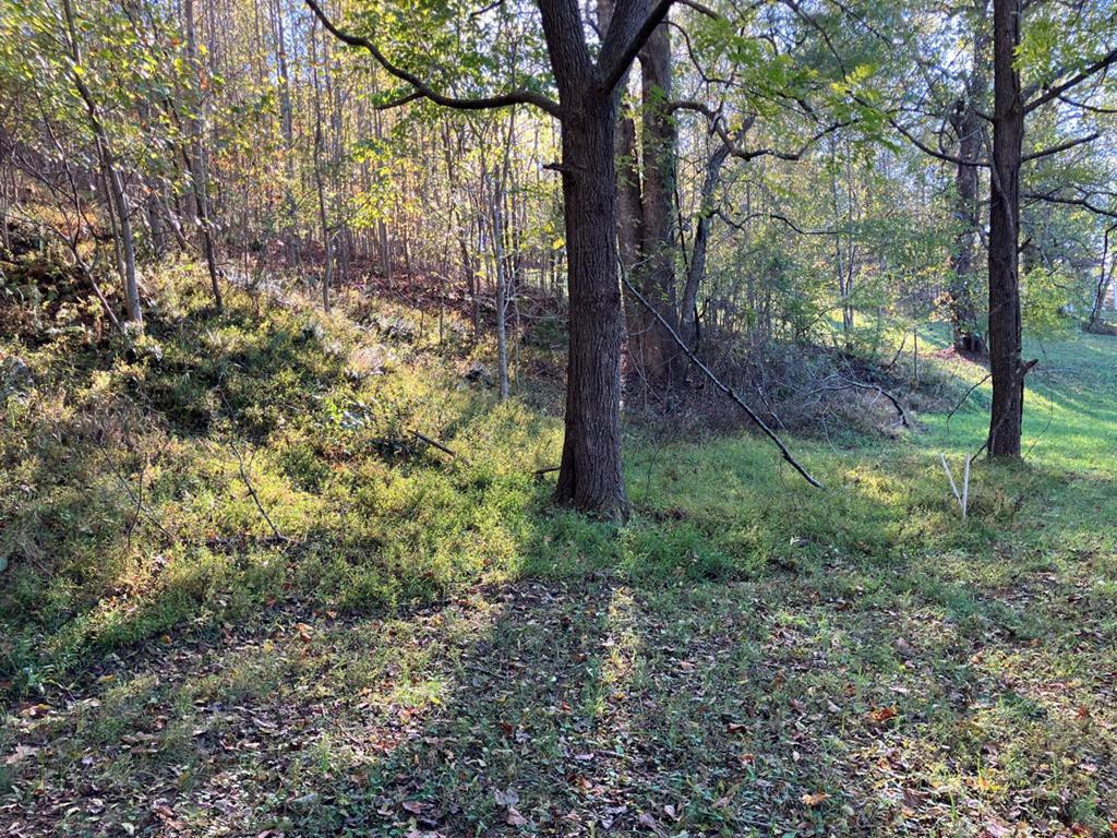 121 White Oak Drive Property Photo 48