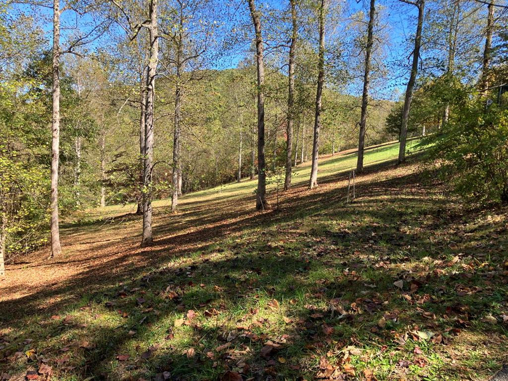 121 White Oak Drive Property Photo 55