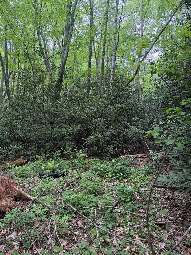 Lots9&17 Warrior Way Property Photo 3