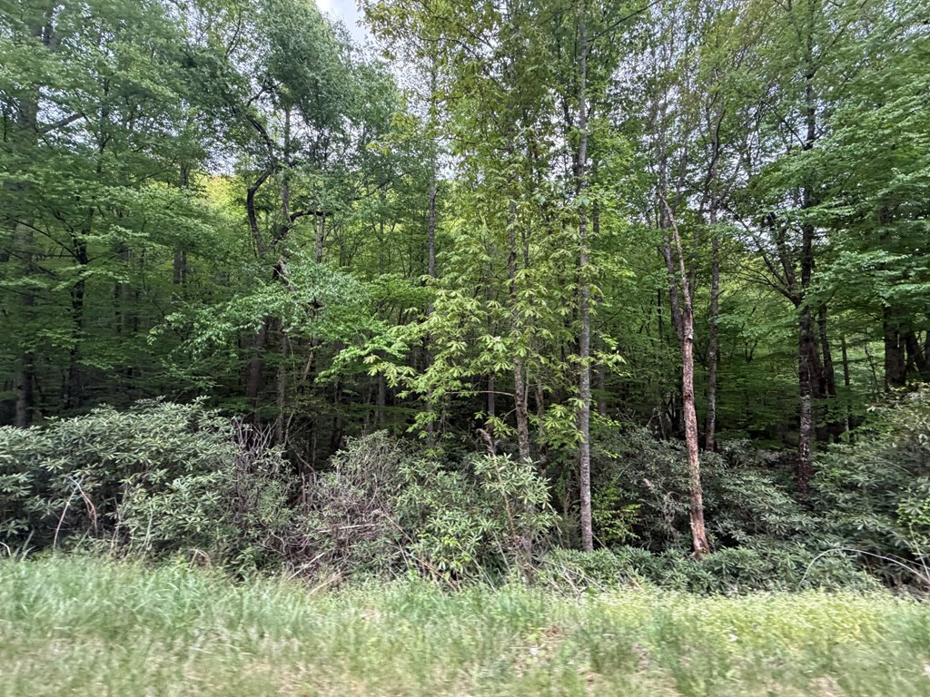 Lots9&17 Warrior Way Property Photo 8