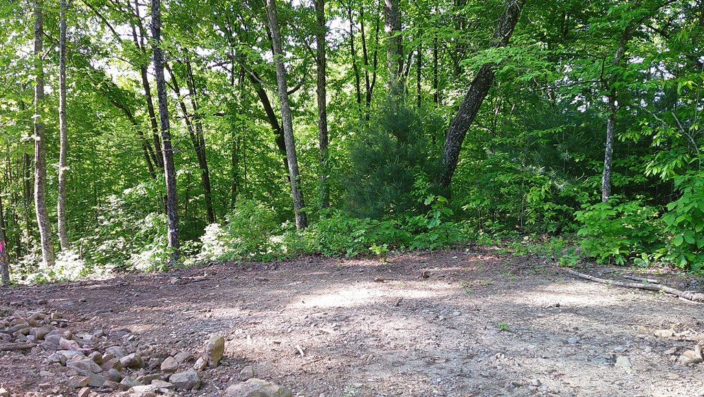 Lot 8 8 Fain Peak Property Photo 3