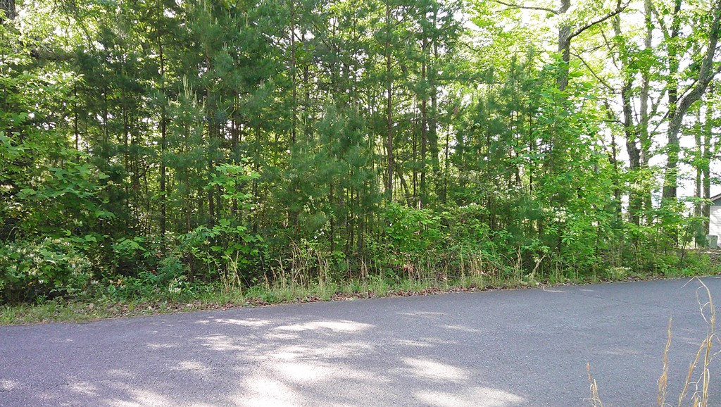 Lot 8 8 Fain Peak Property Photo 6