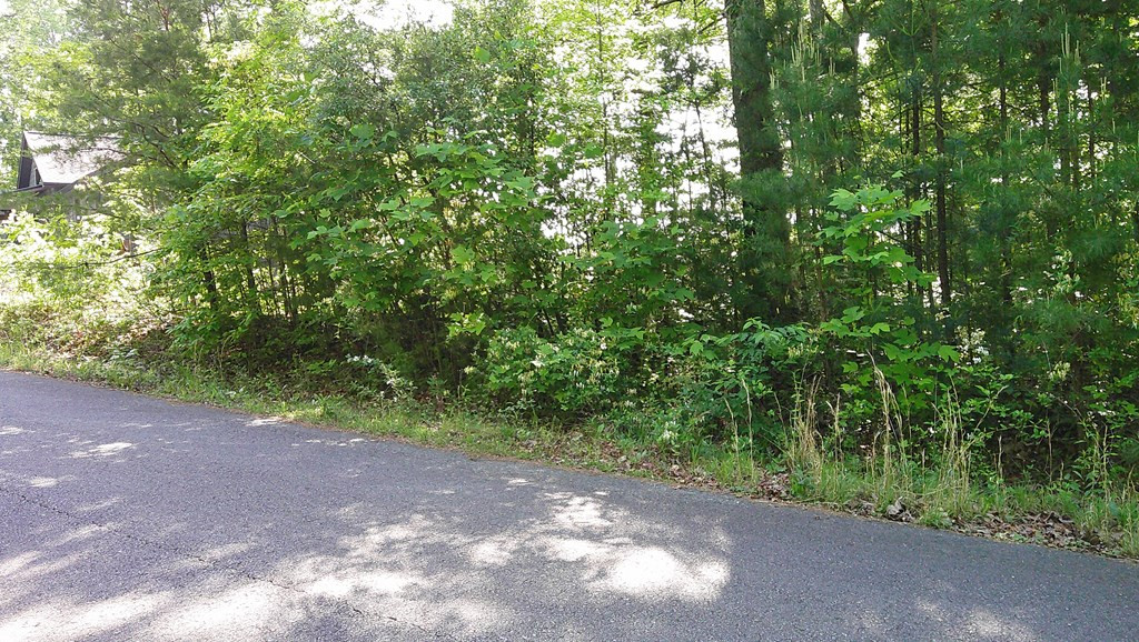Lot 8 8 Fain Peak Property Photo 7