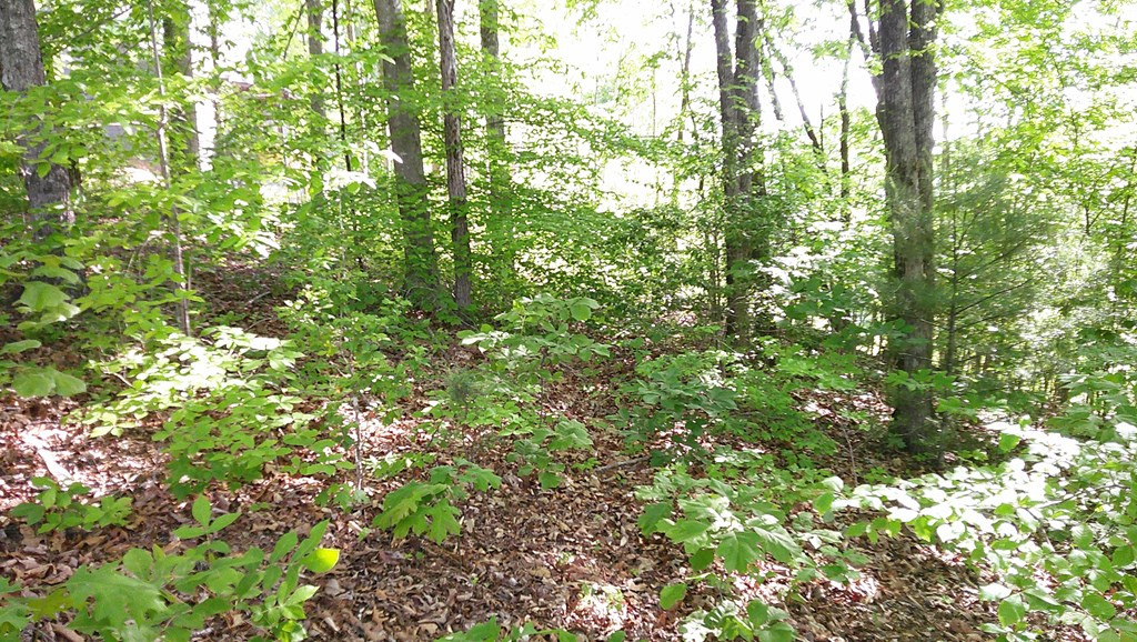 Lot 8 8 Fain Peak Property Photo 8