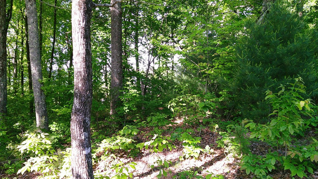 Lot 8 8 Fain Peak Property Photo 9