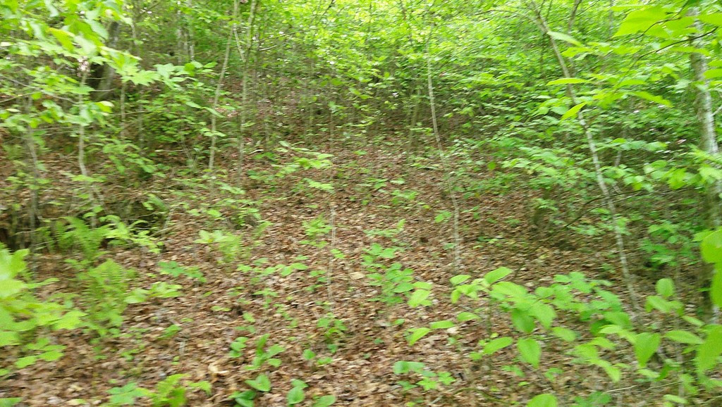 Lot 9 9 Mcdonald Road Property Photo 6