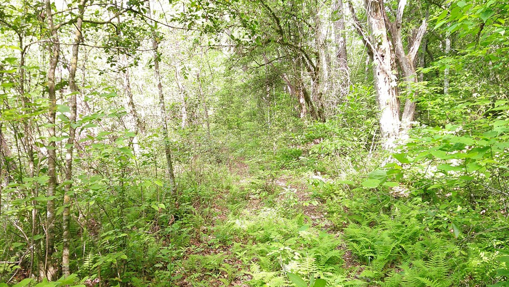 Lot 9 9 Mcdonald Road Property Photo 7