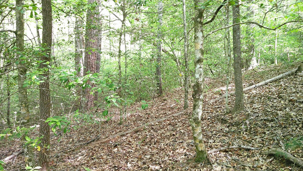 Lot 9 9 Mcdonald Road Property Photo 10