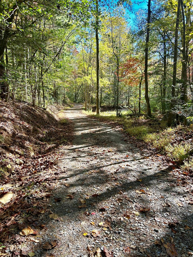Lot 6 Beaverdam Loop Property Photo 2