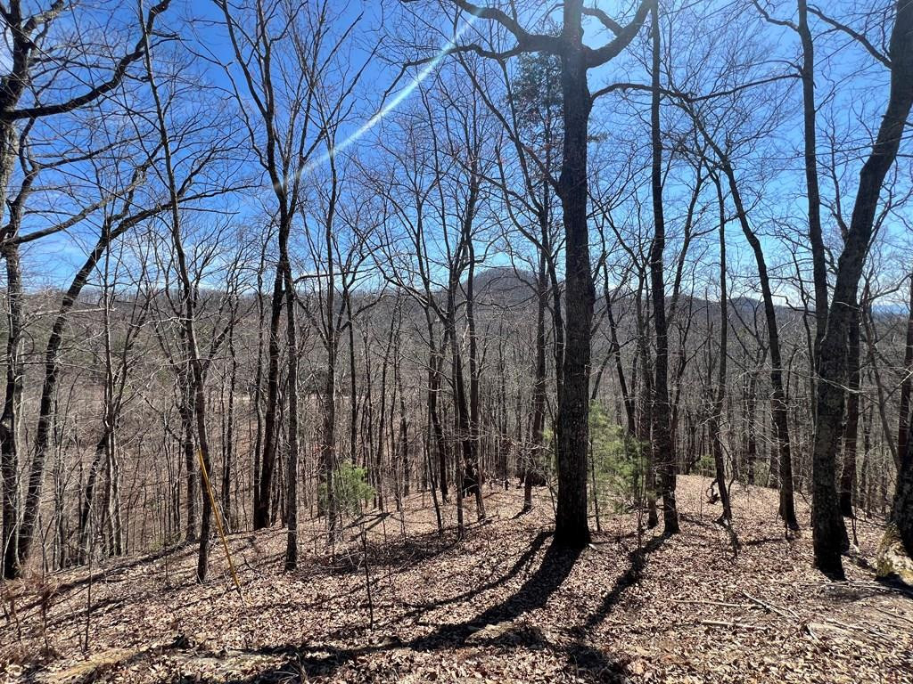 Lot 17 Panorama Dr Wolf Mountain Estates Property Photo 1