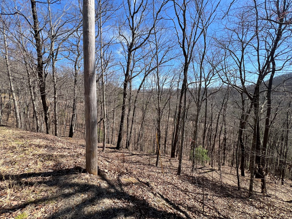 Lot 17 Panorama Dr Wolf Mountain Estates Property Photo 11