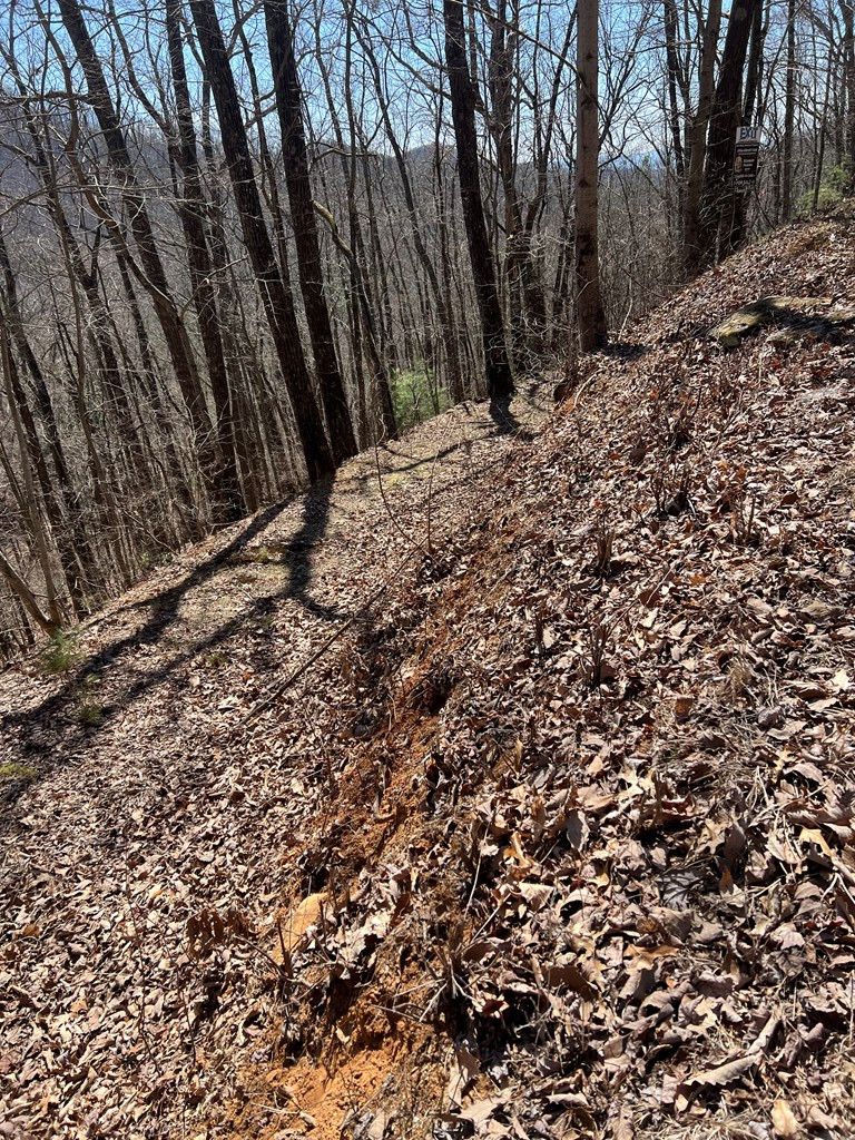 Lot 17 Panorama Dr Wolf Mountain Estates Property Photo 15