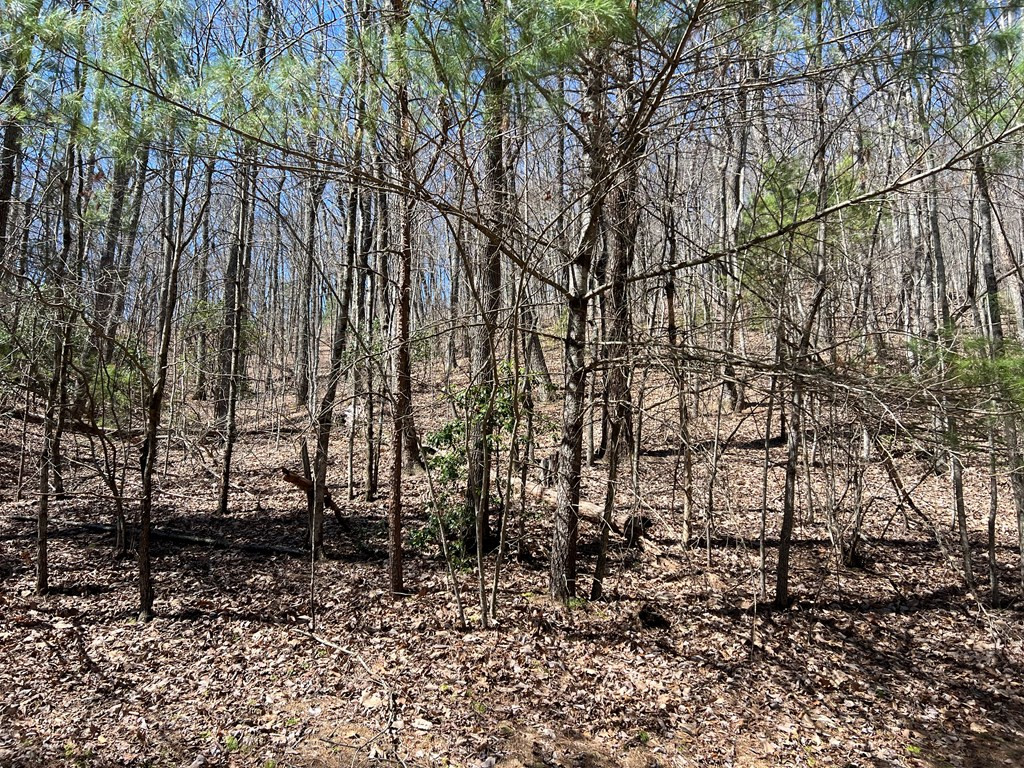 Lots High View Rd Wolf Mountain Estates Property Photo 10