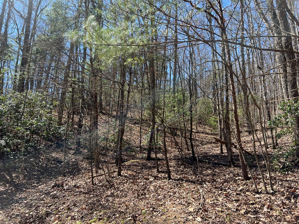 Lots High View Rd Wolf Mountain Estates Property Photo 11