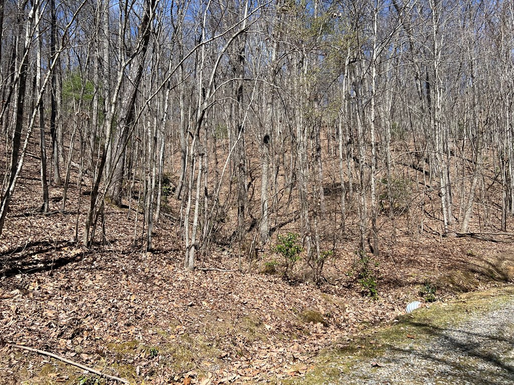 Lots High View Rd Wolf Mountain Estates Property Photo 12