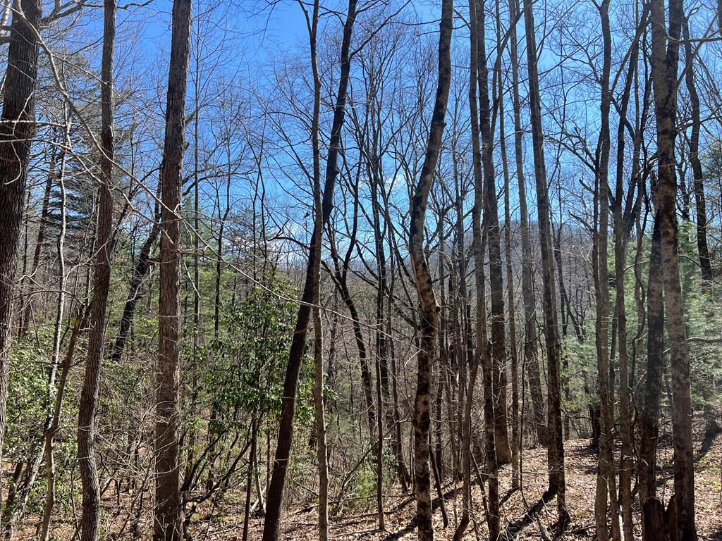 Lots High View Rd Wolf Mountain Estates Property Photo 13
