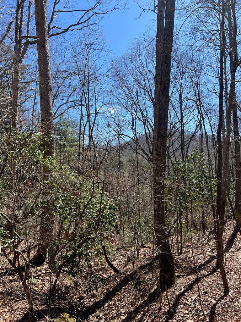 Lots High View Rd Wolf Mountain Estates Property Photo 14