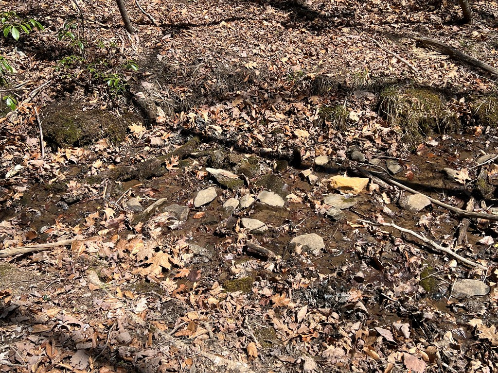 Lots High View Rd Wolf Mountain Estates Property Photo 15