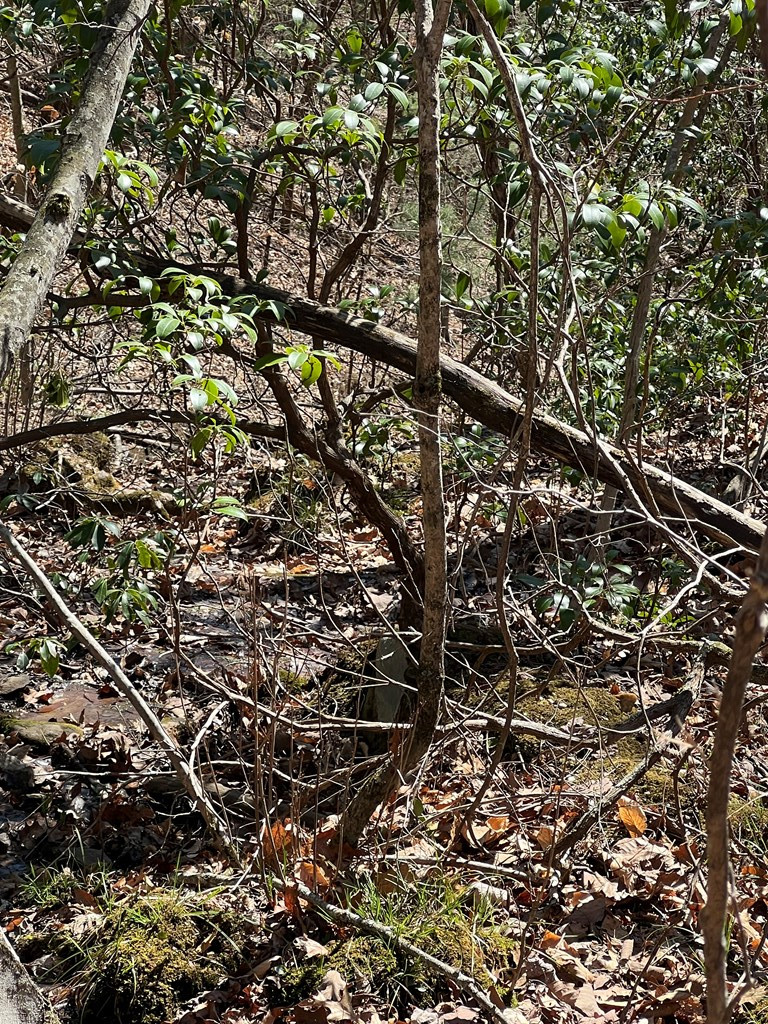Lots High View Rd Wolf Mountain Estates Property Photo 16
