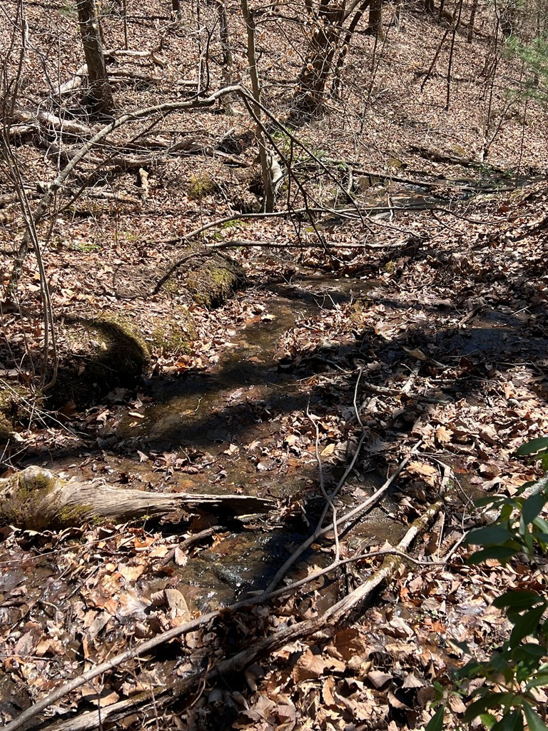 Lots High View Rd Wolf Mountain Estates Property Photo 17