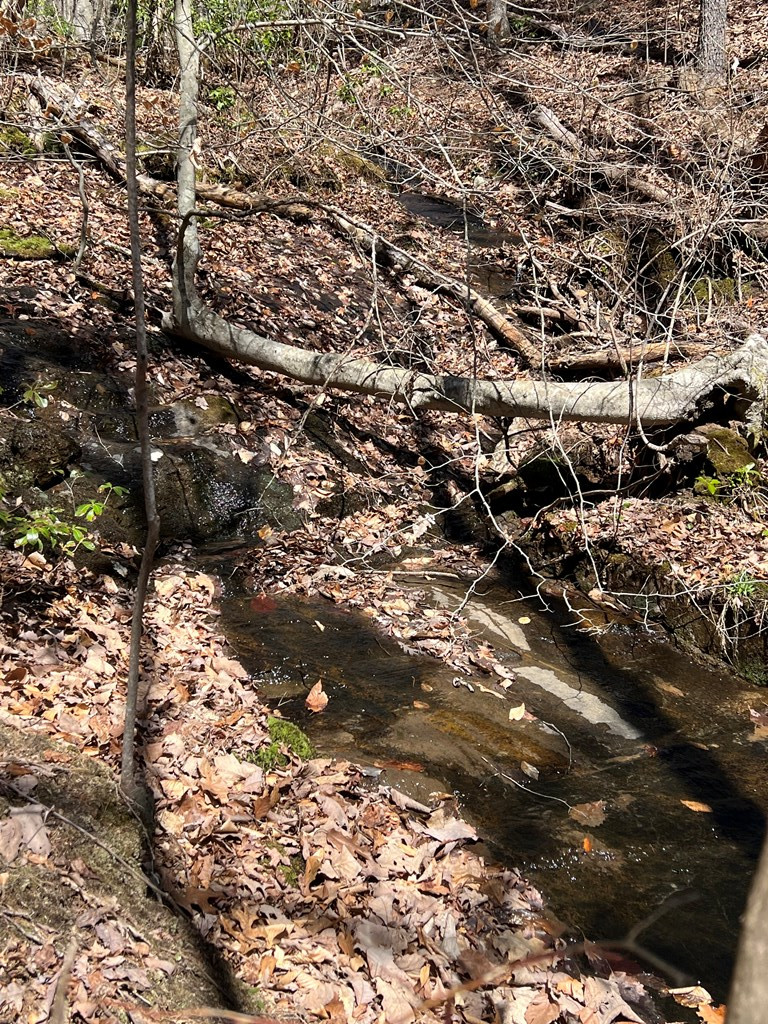 Lots High View Rd Wolf Mountain Estates Property Photo 18