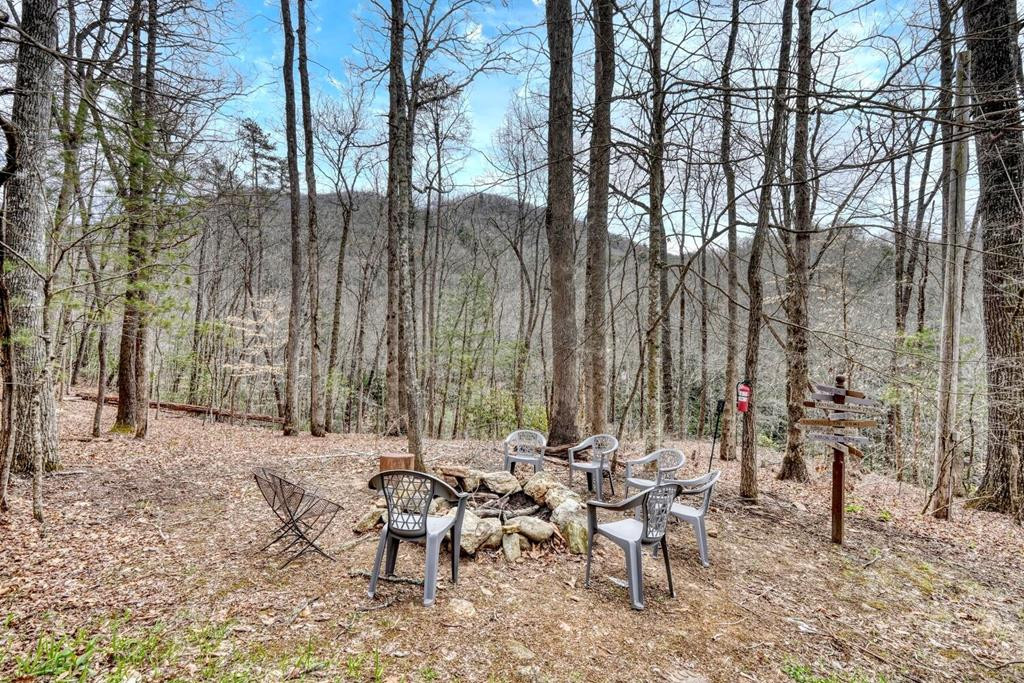 575 Carolina Springs Lane Property Photo 9