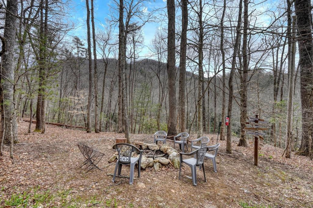 575 Carolina Springs Lane Property Photo 44
