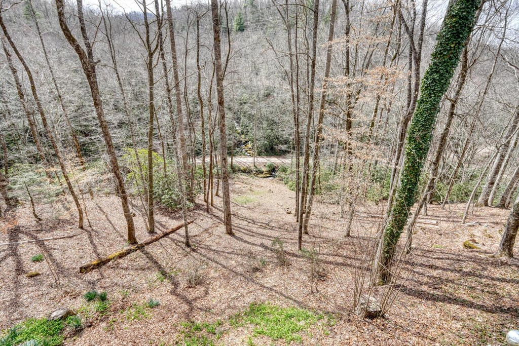 575 Carolina Springs Lane Property Photo 51