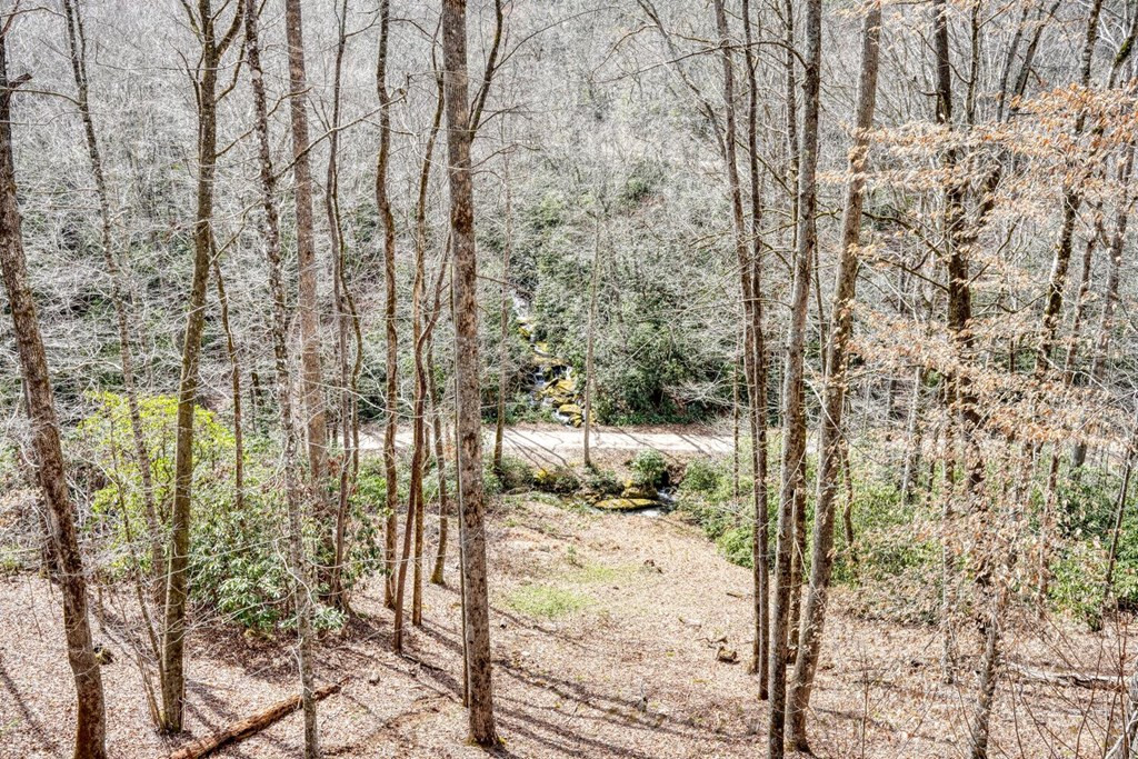 575 Carolina Springs Lane Property Photo 52