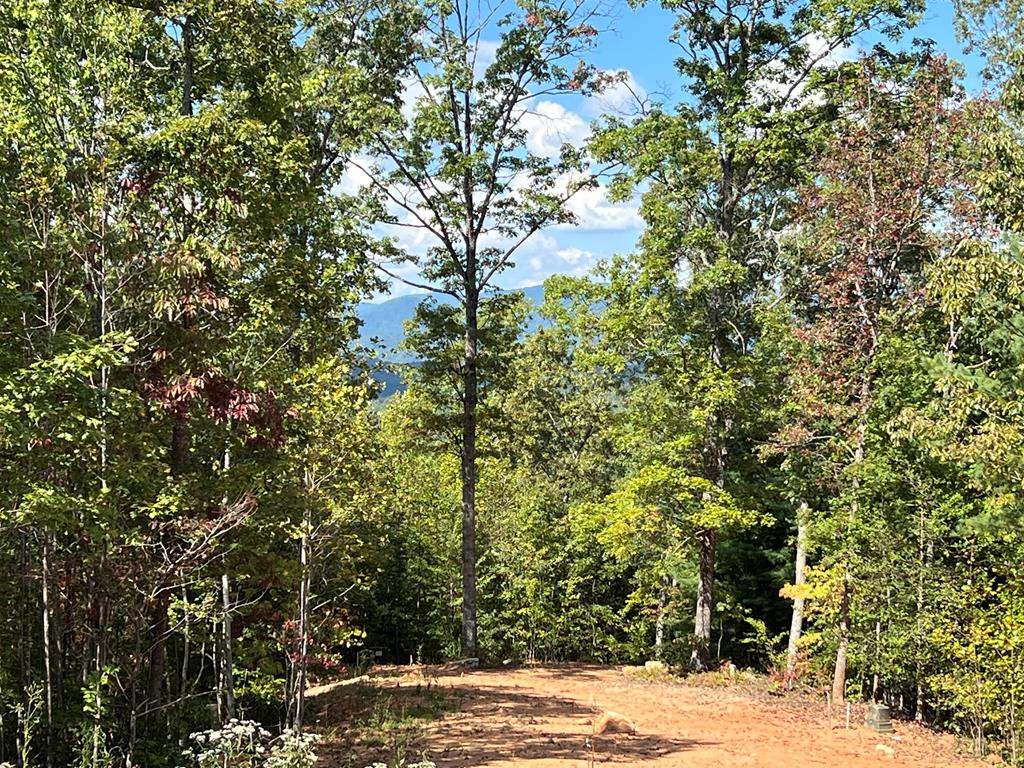 189 Hideout Lane Property Photo 16