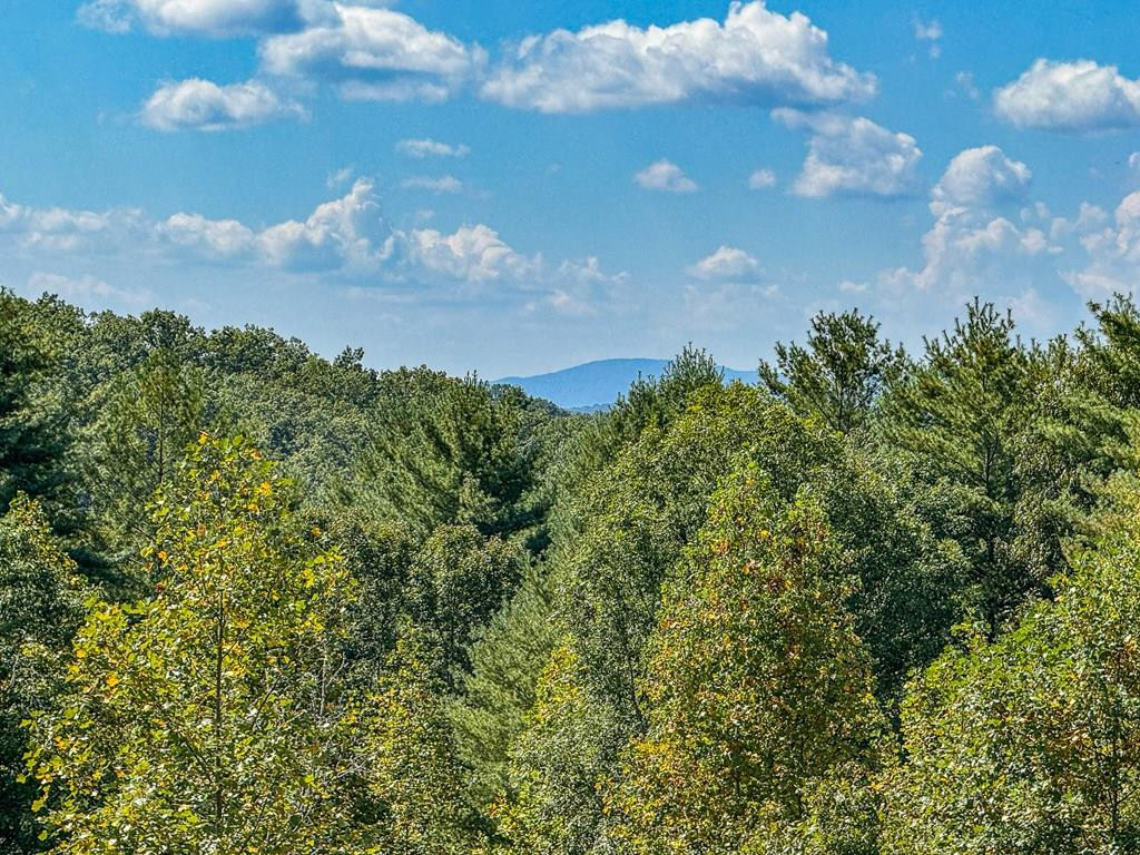 10007 Joe Brown Highway Property Photo 1