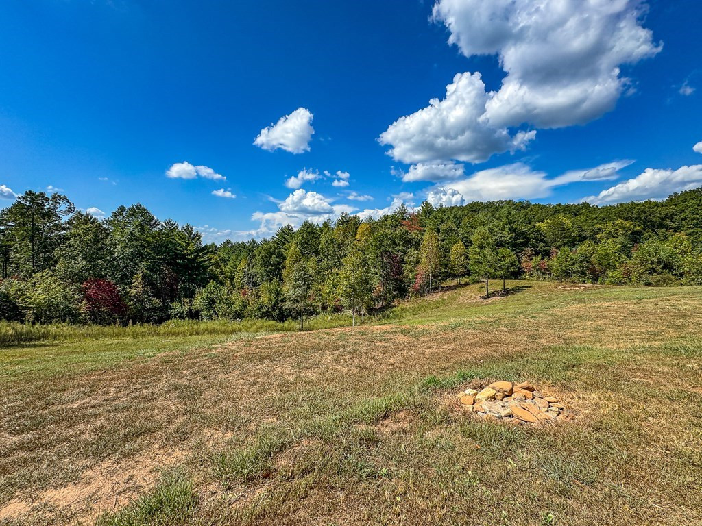 10007 Joe Brown Highway Property Photo 3