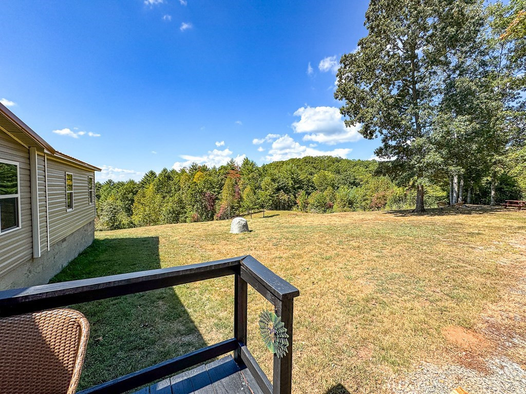 10007 Joe Brown Highway Property Photo 29