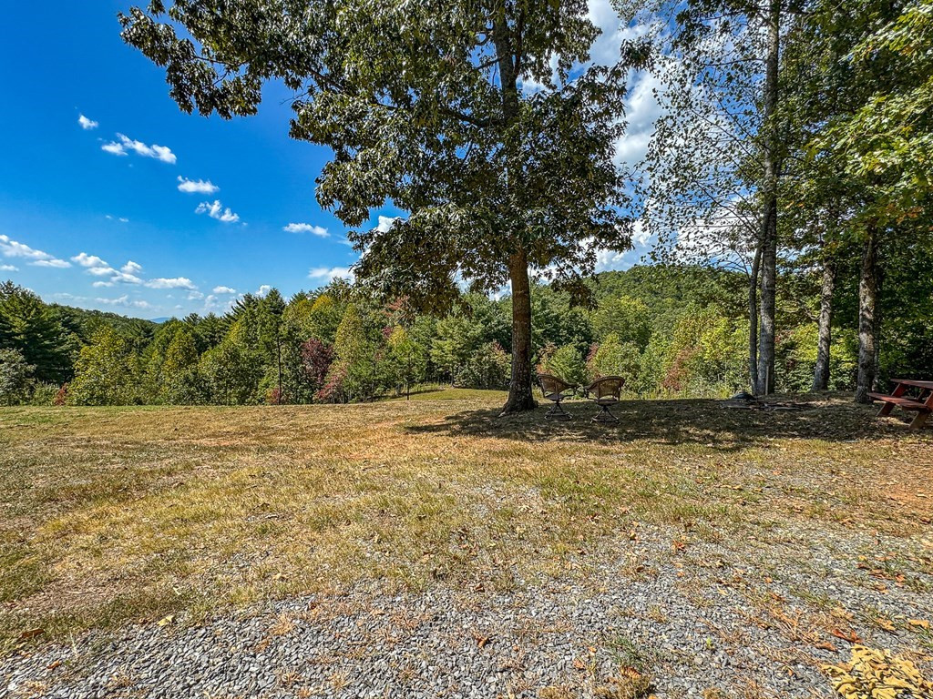 10007 Joe Brown Highway Property Photo 30