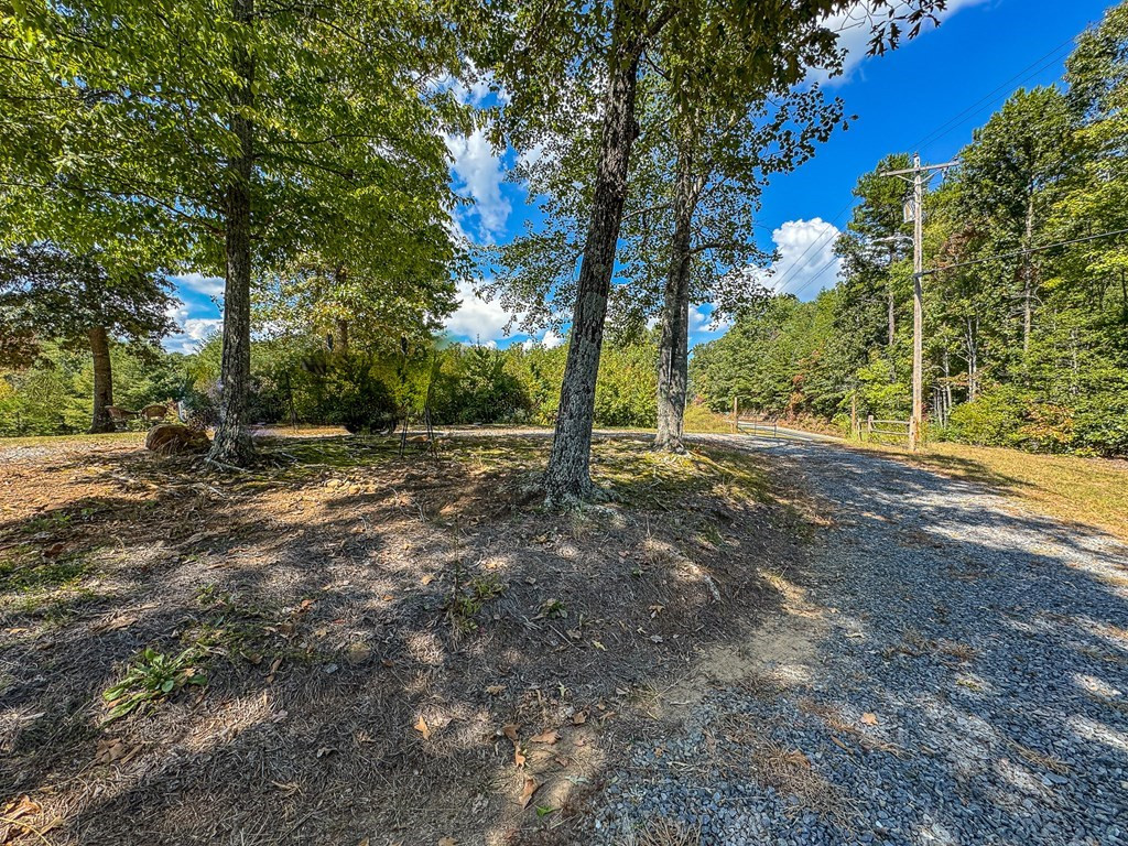 10007 Joe Brown Highway Property Photo 31