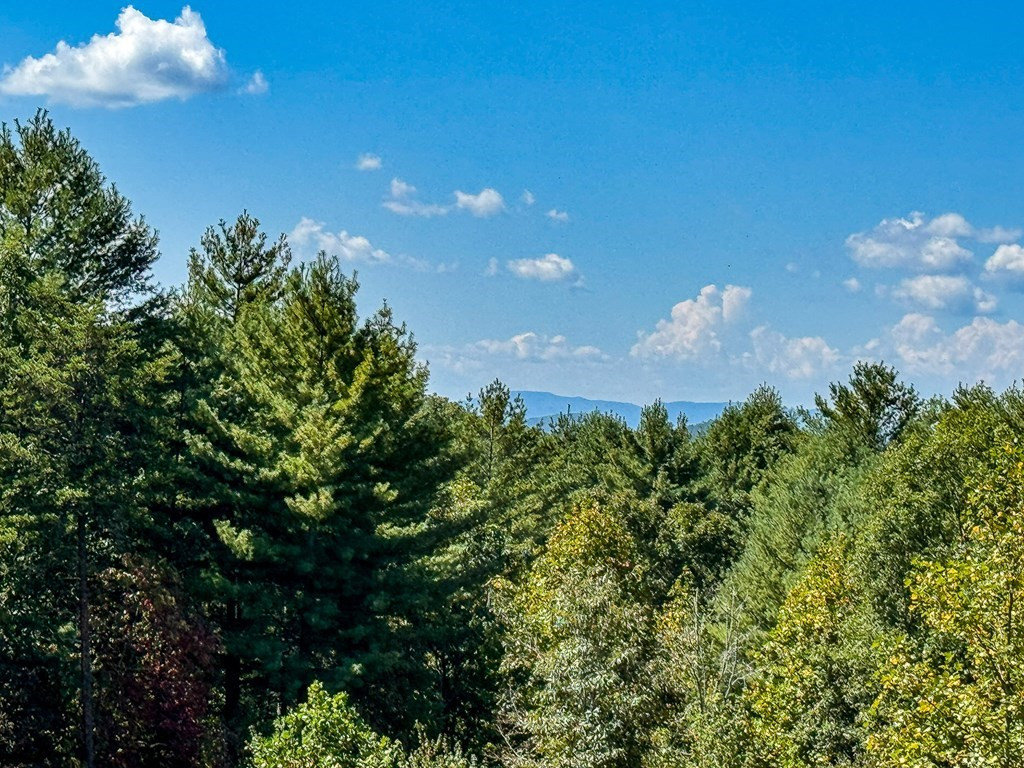 10007 Joe Brown Highway Property Photo 33
