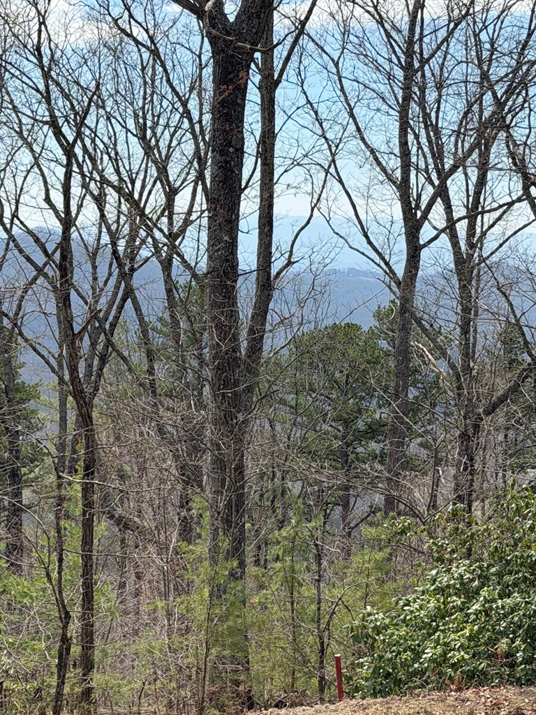 34 Panorama Drive Property Photo 2