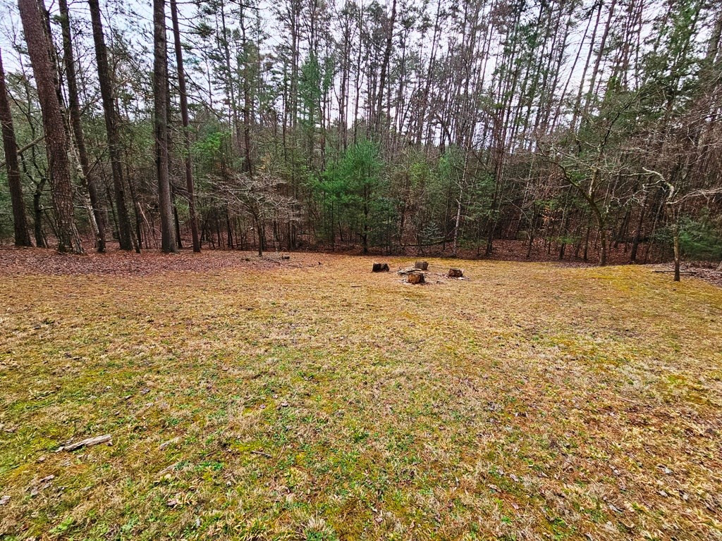 245 Sunnie Lane Property Photo 33