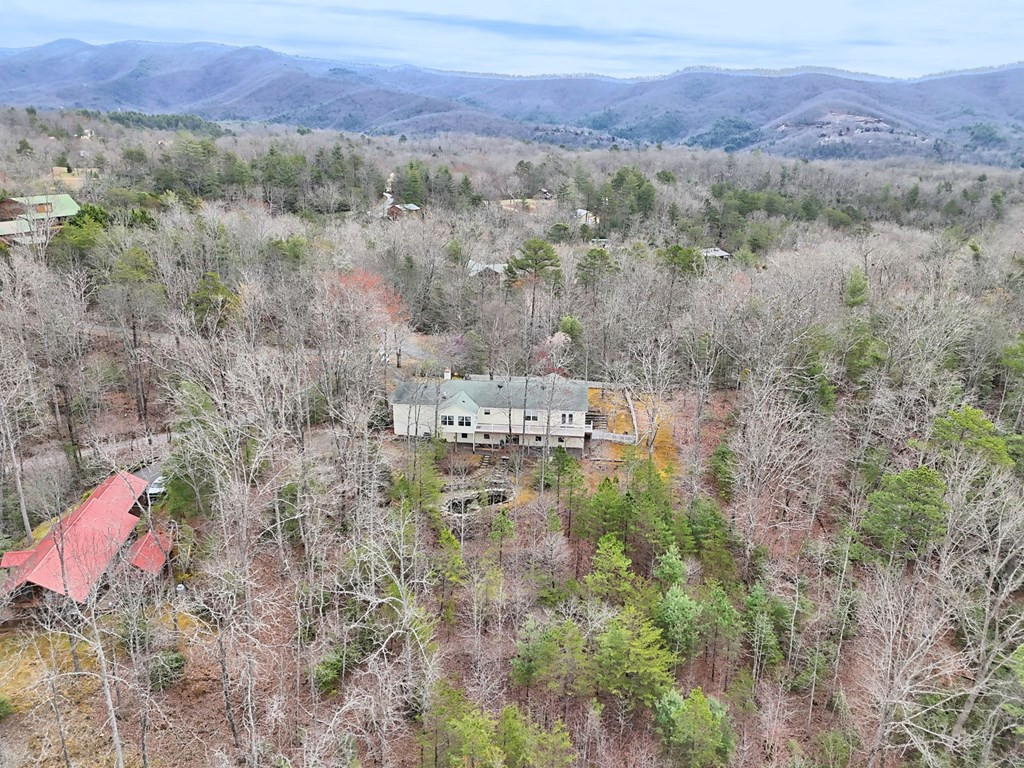 368 Sierra Springs Drive Property Photo 3